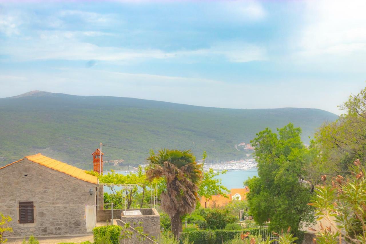 Villa Kuca Za Odmor Kornić Extérieur photo