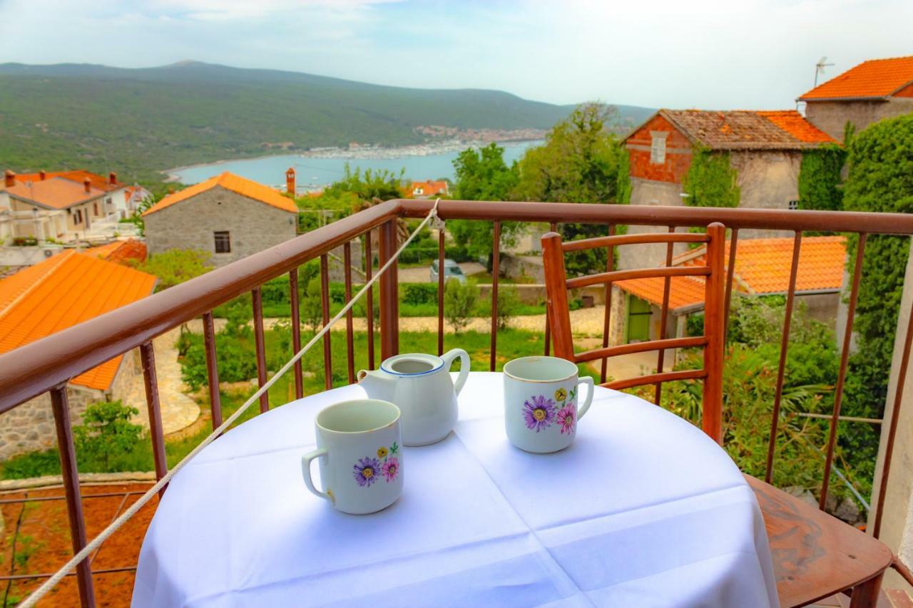 Villa Kuca Za Odmor Kornić Extérieur photo